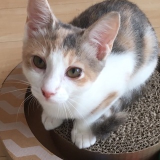 甘えん坊のぱみちゃんです❣️