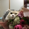 花束にスリスリ