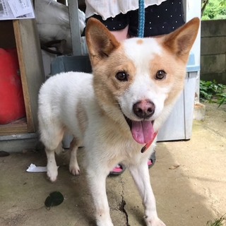 12才♂ジュンペイ