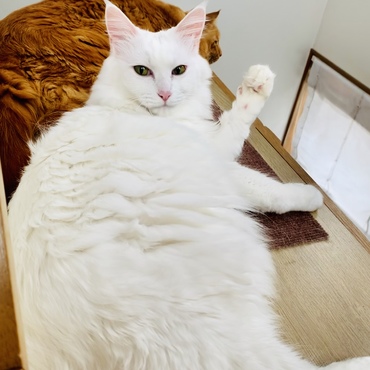 の写真