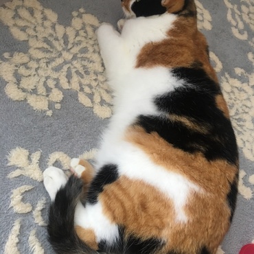 のんびり