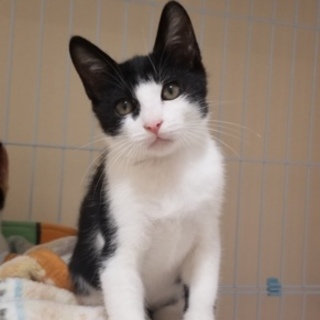 怖がりな男の子を守ってあげて下さい