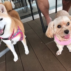 2度目のオフ会٩(๑´3｀๑)۶