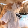 もちくま