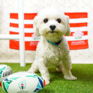 良いご縁に繋がりました。