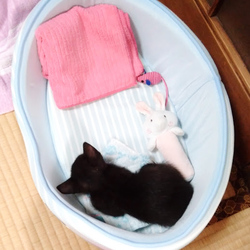 「初めての注射」サムネイル2