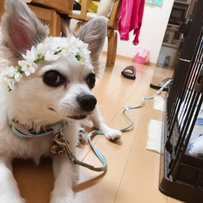 ゆうな38のカバー写真
