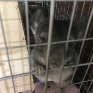 応募多数のため、一旦締め切ります