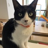 ちめたろうさん
