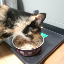 「２ヶ月遅れの お祝い ～！」サムネイル3