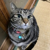 えむ
