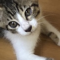 【急募】6/18生まれのお目目ぱっちり男の子☆