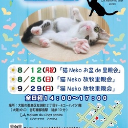 『保護猫のずっとのおうち探し里親会』
