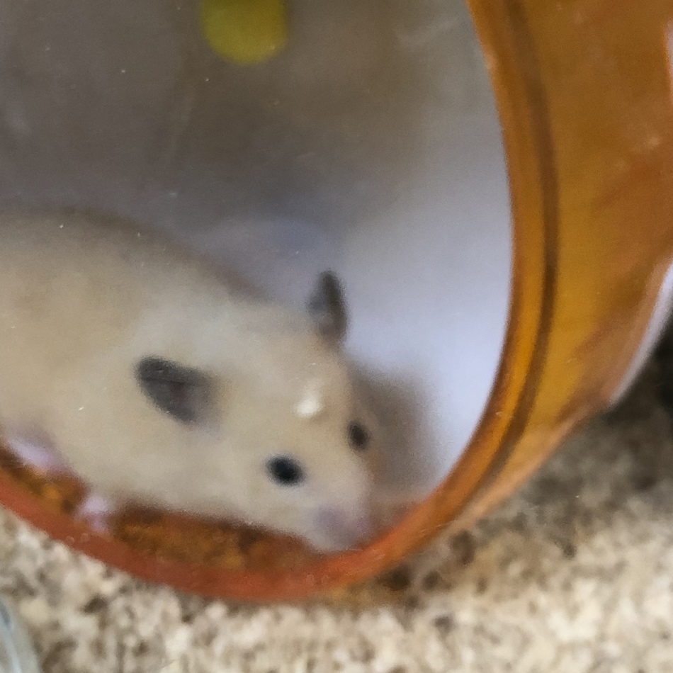 雫のカバー写真