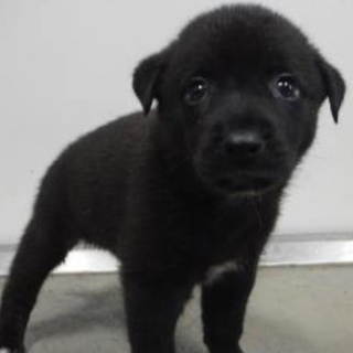 団体様が引き出してくださいました。