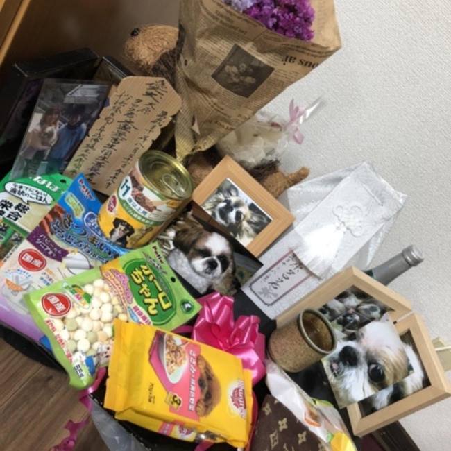 junpeixxのカバー写真