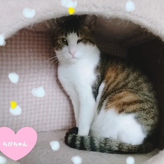 面倒見の良い、ちびちゃん！