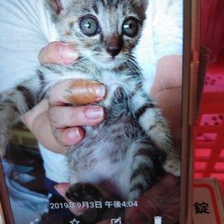 赤ちゃん1月くらいの可愛い子！です