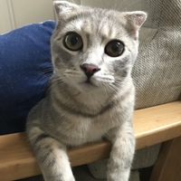 ぐうた
