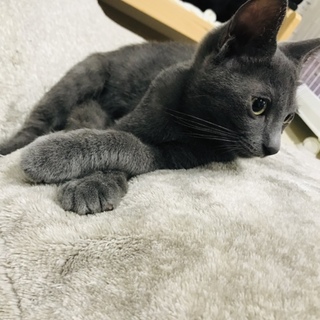 4兄弟＊遊ぶの大好き蘭之介