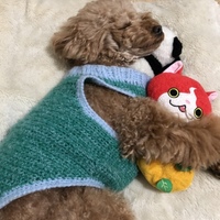 レイ