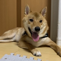 北斗
