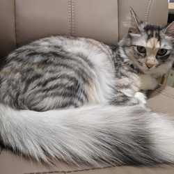 「お誕生日」サムネイル2