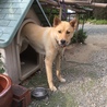 の写真