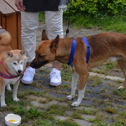 葵の独り言(*˘︶˘*).｡.:*♡⑦