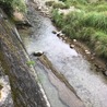 川