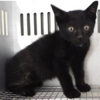 団体様が引き出してくださいました。