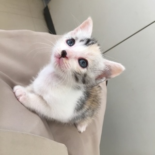とぉ〜っても甘えたな可愛こちゃん♡