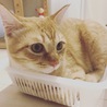 の写真