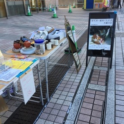 八王子市南大沢イトーヨーカドー前里親会