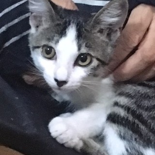お転婆な夢ちゃん