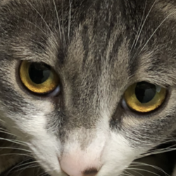 「目覚まし隊」サムネイル2