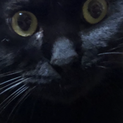 「目覚まし隊」サムネイル3