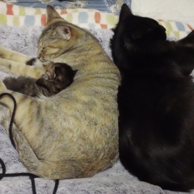 まうぽのカバー写真