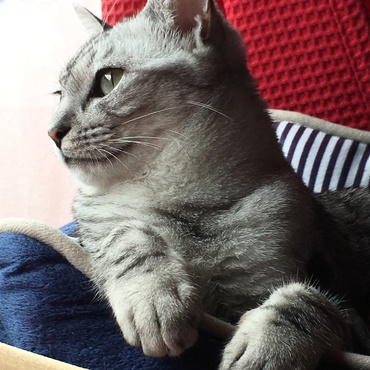 まつ毛が可愛いのです