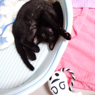 ぐにゅぅ。背骨がどうなってるか分からない。そしてウィンク。