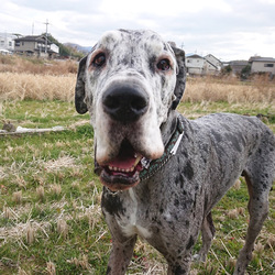 いまでもこんなにかわいいぜっ！おっさんだけど。