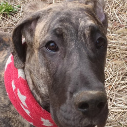 やっと1歳になるんだぜ！