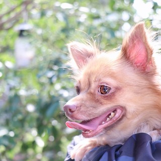 お友だちが大好き　ケロちゃん♪