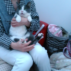 素敵な里親様達！