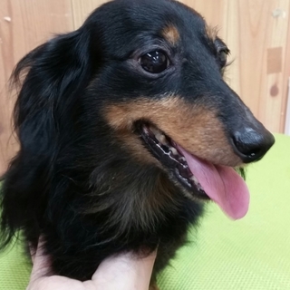 エチュード交渉中につき募集停止