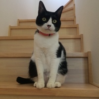 姫子
