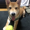 柴田さん