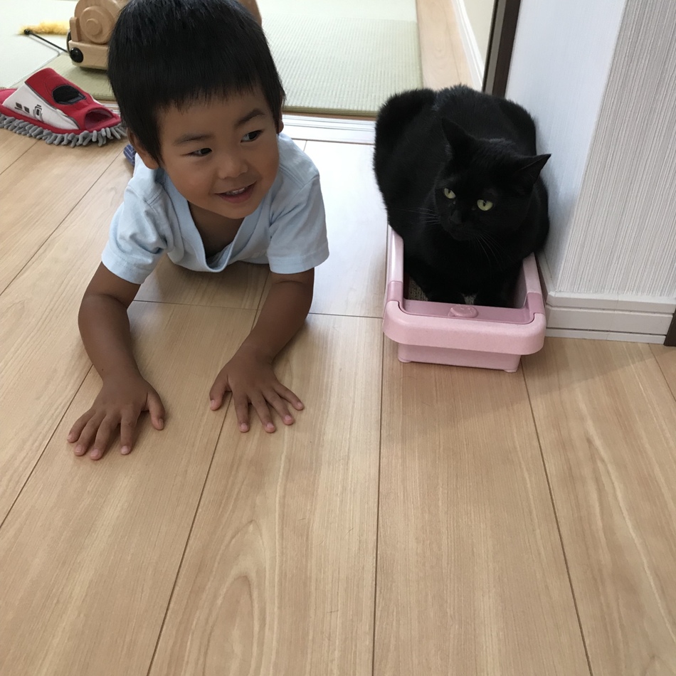 山平たほのカバー写真