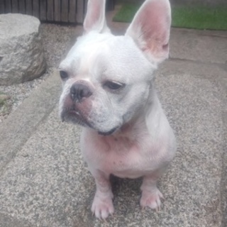 ありがとうございました！