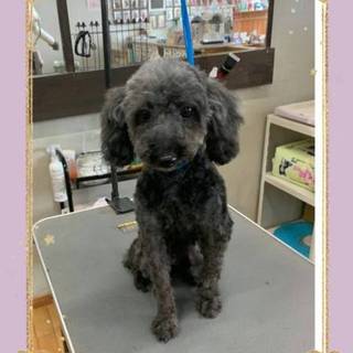 優しい　ライカちゃん♪